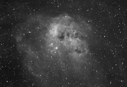 IC410 - The Tadpoles