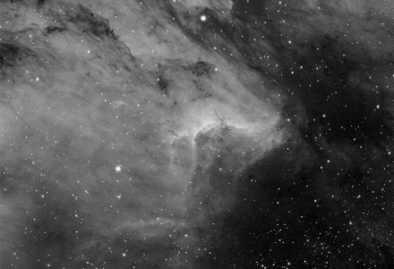 IC5067 - Pelican Nebula